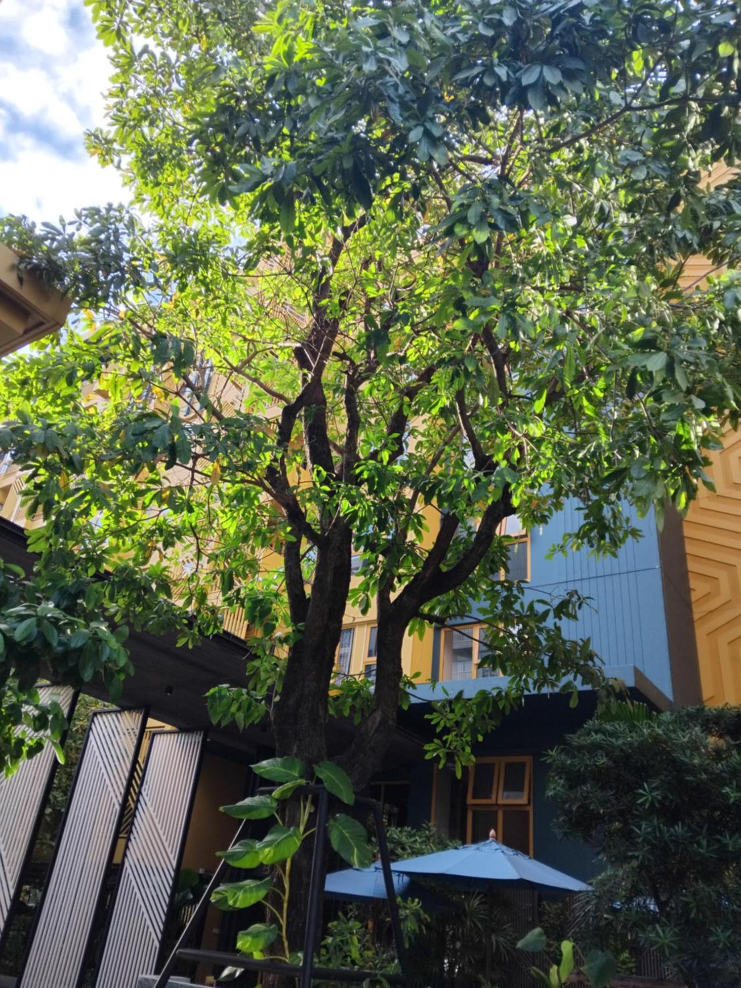 Brissluxe At Bts Onnut Sukumvit 50 Banguecoque Exterior foto